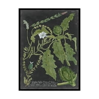 Трговска марка ликовна уметност „Драматично Вајнман зеленило II“ платно уметност од визија студио