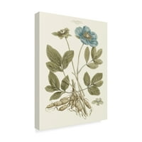 Трговска марка ликовна уметност „Bashful Blue Florals I“ платно уметност од Millон Милер