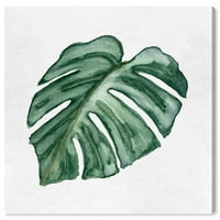Студиото Wynwood отпечати акварел лисја цветни и ботанички ботаники wallидни уметности платно печати зелена темна зелена 30х30