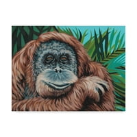 Трговска марка ликовна уметност „џунгла мајмун I“ платно уметност од Кероле Виталети