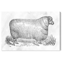 Wynwood Studio Animals Wall Art Canvas Prints 'Овци во сребро' животни - сива, бела